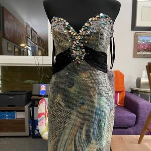 Full Length Evening Gown Peacock Sequins